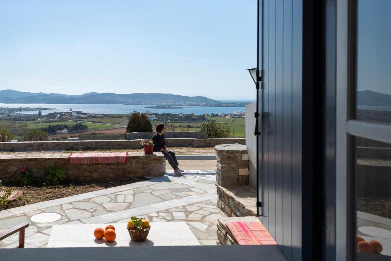 Margarita Countryside Studios Πούντα Εξωτερικό φωτογραφία