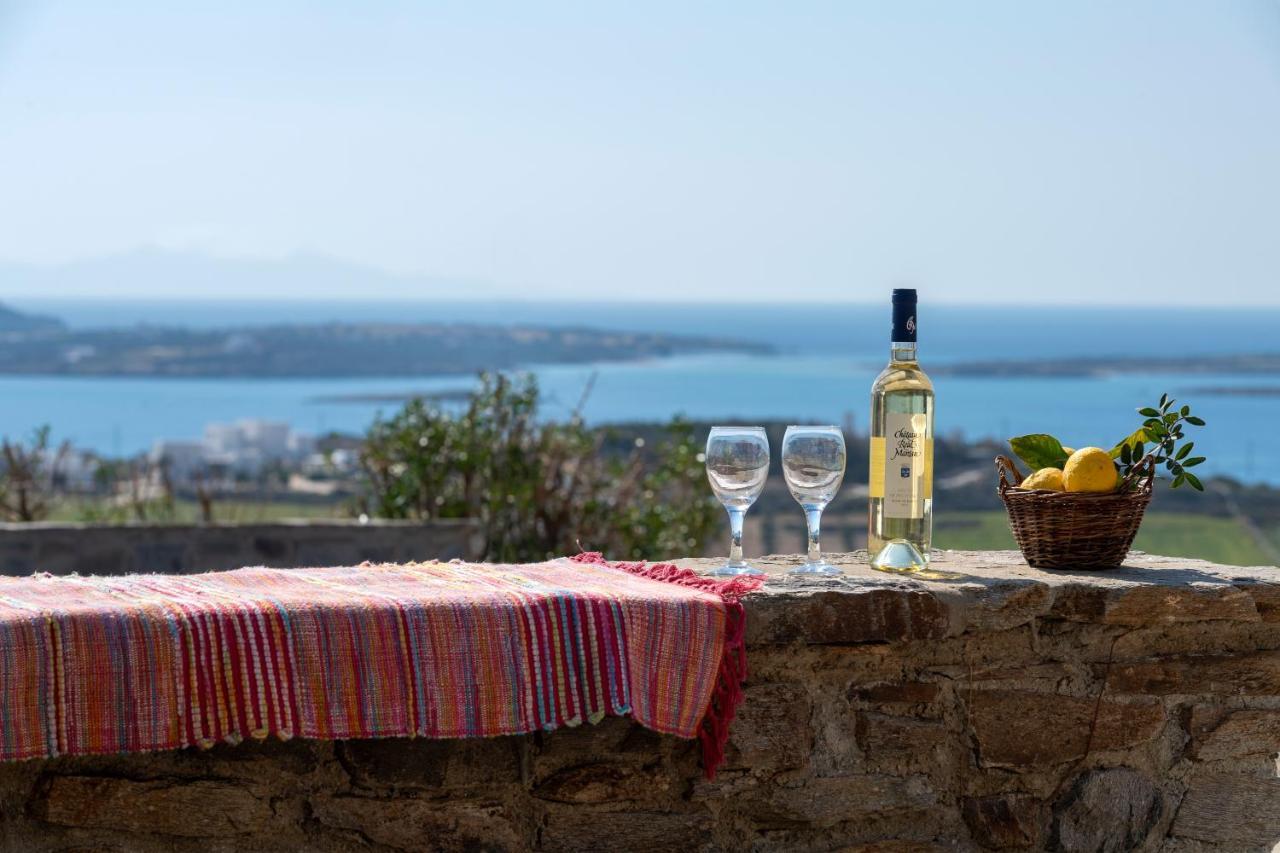 Margarita Countryside Studios Πούντα Εξωτερικό φωτογραφία